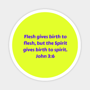 Bible Verse John 3:6 Magnet